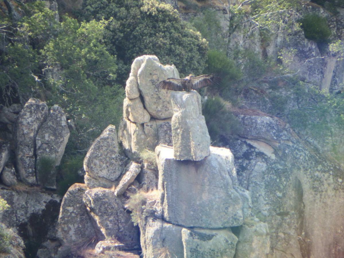 Casa Rural Duas Aguas Arribes Bemposta  Dış mekan fotoğraf